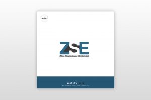 ZSE | logo